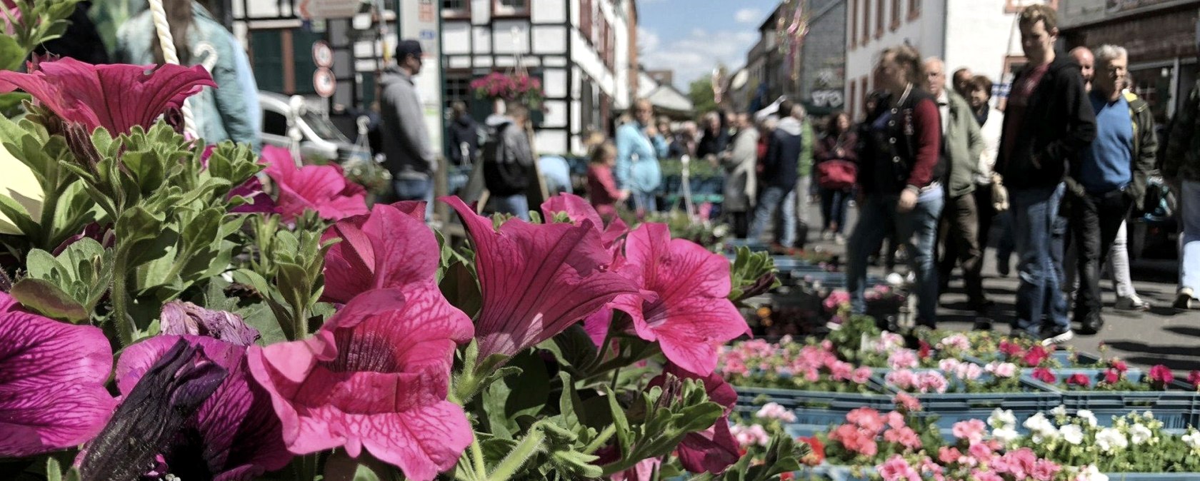 Blumen-, Kleintier- und Bauernmarkt, © Vereinskartell Kommern Blumen-, Kleintier- und Bauernmarkt, © Vereinskartell Kommern