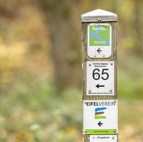 Waymarking, © @Eifel Tourismus GmbH, Dominik Ketz Waymarking, © @Eifel Tourismus GmbH, Dominik Ketz
