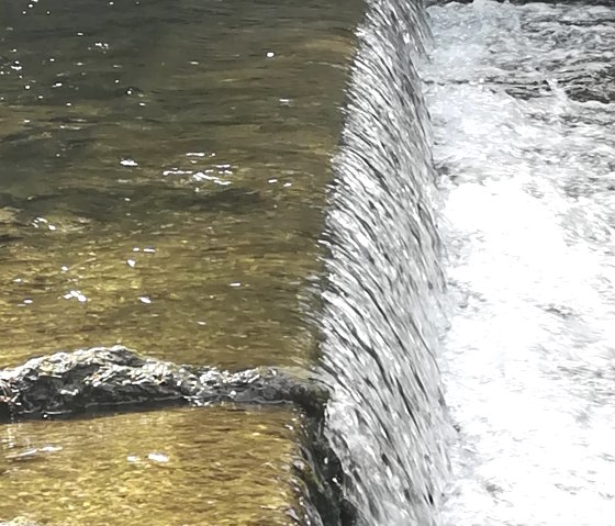 IMG_20200523_155234, © Nordeifel Tourismus GmbH & Grunwald Hotel IMG_20200523_155234, © Nordeifel Tourismus GmbH & Grunwald Hotel