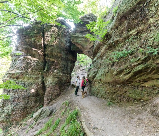 Kurioser Fels: Das Hindenburgtor bei Nideggen, © Eifel Tourismus GmbH, AR-shapefruit AG Kurioser Fels: Das Hindenburgtor bei Nideggen, © Eifel Tourismus GmbH, AR-shapefruit AG