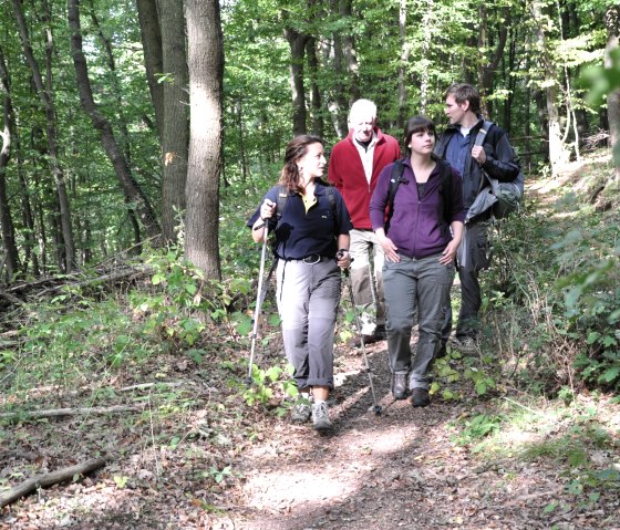 Vier Personen wandern auf einem schmalen Pfad durch einen grünen Wald. Sie tragen Wanderkleidung und Rucksäcke., © Wandermagazin/ N. Glatter Vier Personen wandern auf einem schmalen Pfad durch einen grünen Wald. Sie tragen Wanderkleidung und Rucksäcke., © Wandermagazin/ N. Glatter