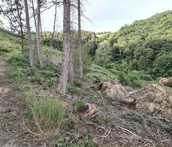 Kleiner Rundwanderweg Kleiner Rundwanderweg