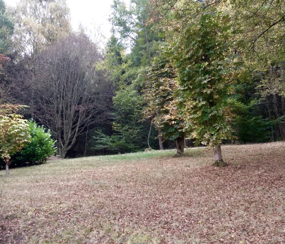 "Beautiful view on the Eifelsteig" garden "Beautiful view on the Eifelsteig" garden