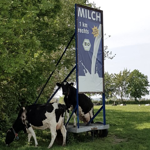 Frische Milch aus dem Milchautomat, © Biohof Beuel Frische Milch aus dem Milchautomat, © Biohof Beuel