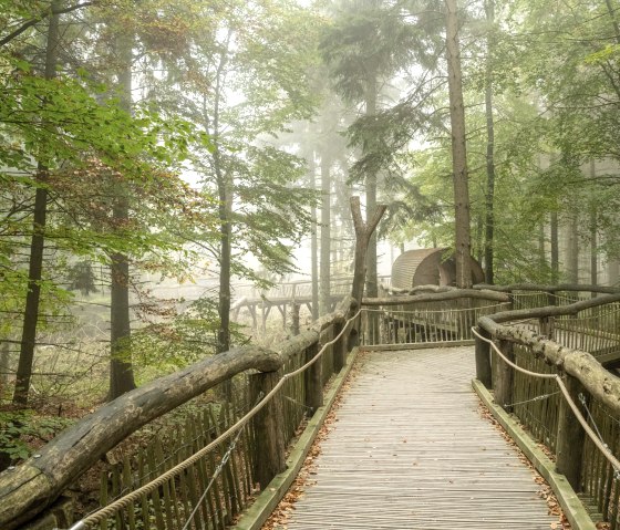 Über die Holzstege auf dem Wilden Weg, © Nationalpark Eifel, Dominik Ketz Über die Holzstege auf dem Wilden Weg, © Nationalpark Eifel, Dominik Ketz