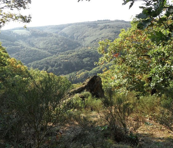 Weitblick, © Der-eifelyeti.de Weitblick, © Der-eifelyeti.de