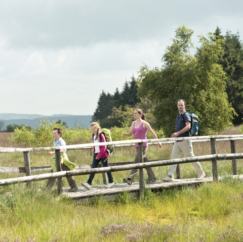 Hohes Venn bei Botrange, © vennbahn.eu Hohes Venn bei Botrange, © vennbahn.eu