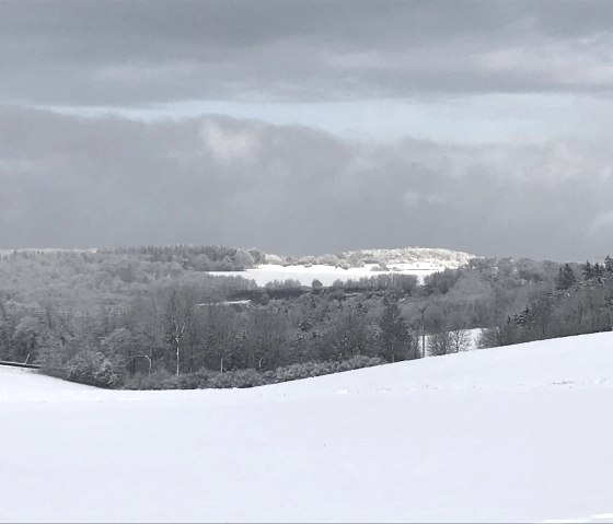 Winter Landscape, © C. Wolter Winter Landscape, © C. Wolter