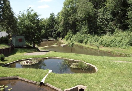 Teich am Silberquellchen, © Eifel Tourismus Teich am Silberquellchen, © Eifel Tourismus
