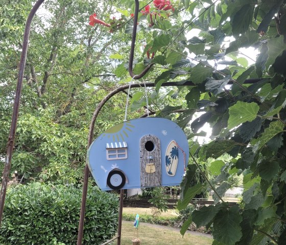 20230720_093636 (1), © Annette Rosen-Roevenich & Nordeifel Tourismus GmbH 20230720_093636 (1), © Annette Rosen-Roevenich & Nordeifel Tourismus GmbH