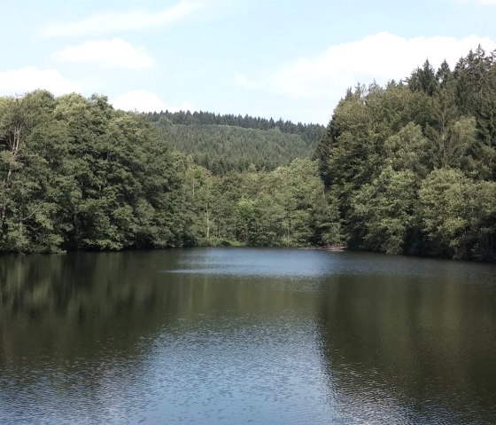 Rursee Rursee