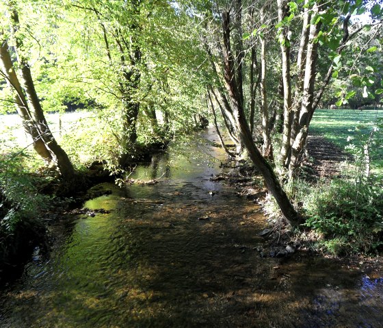 An der Kall, © Eifel-Yeti An der Kall, © Eifel-Yeti