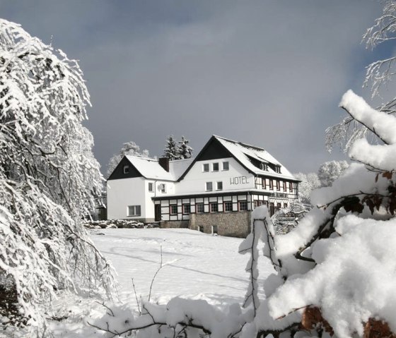 Winter, © Nordeifel Tourismus GmbH & Hollerather Hof Winter, © Nordeifel Tourismus GmbH & Hollerather Hof