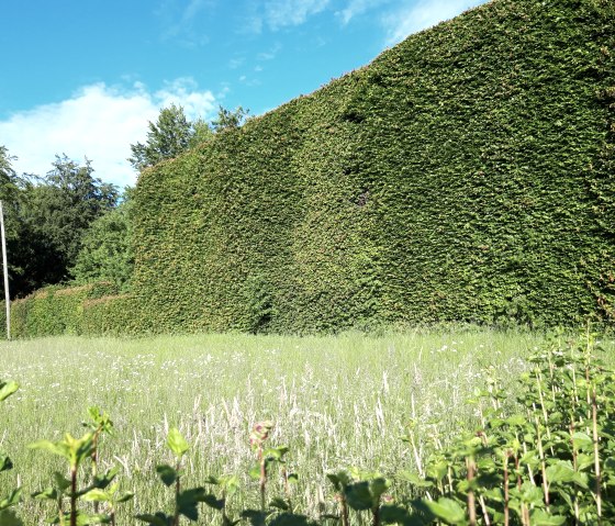 House hedge in Höfen, © Monschau-Touristik House hedge in Höfen, © Monschau-Touristik