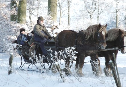 Bauershof, © Friedrich Bauer Bauershof, © Friedrich Bauer