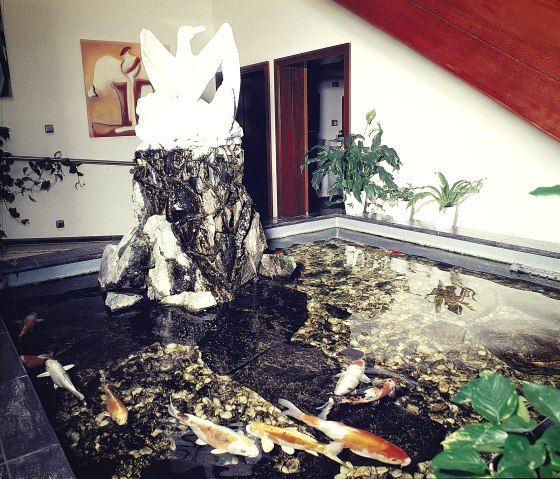 Aquarium, © Hotel Seemöwe Aquarium, © Hotel Seemöwe