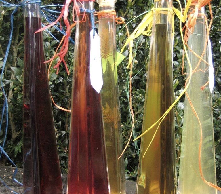 Grün ins Glas, © Eifelgemeinde Nettersheim Grün ins Glas, © Eifelgemeinde Nettersheim