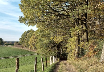 Lehmjöres Aussicht September-Oktober (co) Theißen- Lehmjöres Aussicht September-Oktober (co) Theißen-