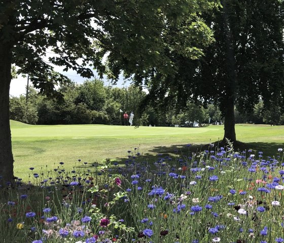 Golf Bad Münstereifel, LLC 2, © Golf Bad Münstereifel GmbH Golf Bad Münstereifel, LLC 2, © Golf Bad Münstereifel GmbH