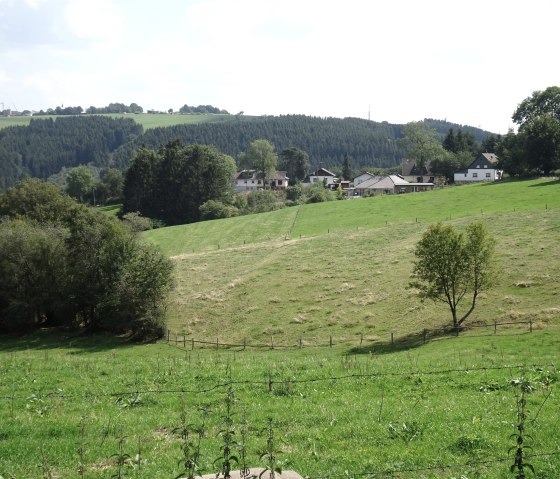 Blick auf zur Mühle, © Nordeifel Tourismus GmbH & Ferienhaus eifel-mökki Blick auf zur Mühle, © Nordeifel Tourismus GmbH & Ferienhaus eifel-mökki
