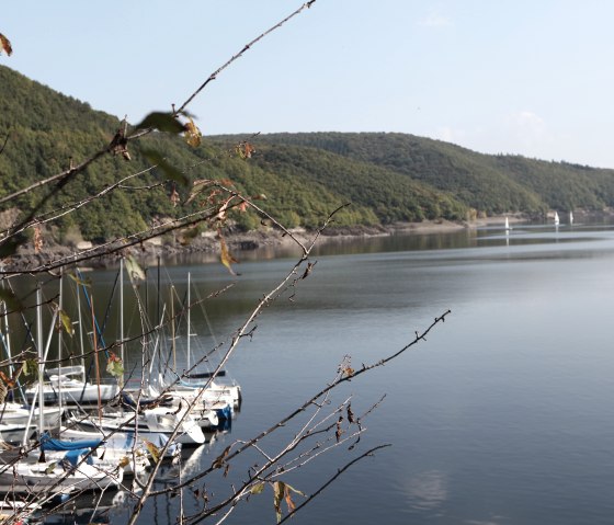 Sailors on the lake Sailors on the lake