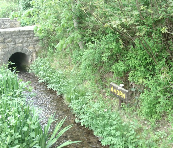 Bachlauf im Tiefsbachtal, © Eifel-Yeti Bachlauf im Tiefsbachtal, © Eifel-Yeti