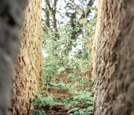 Ruine, © Ifeel Moments Fotografie, Tamara Großart Ruine, © Ifeel Moments Fotografie, Tamara Großart