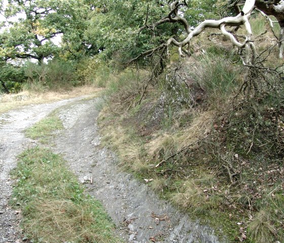 Weg auf die Höhe, © Bert van London Weg auf die Höhe, © Bert van London