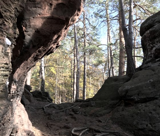Entlang der Wanderung Nr. 37 - Hasenacker, © Rureifel-Tourismus e.V. Entlang der Wanderung Nr. 37 - Hasenacker, © Rureifel-Tourismus e.V.