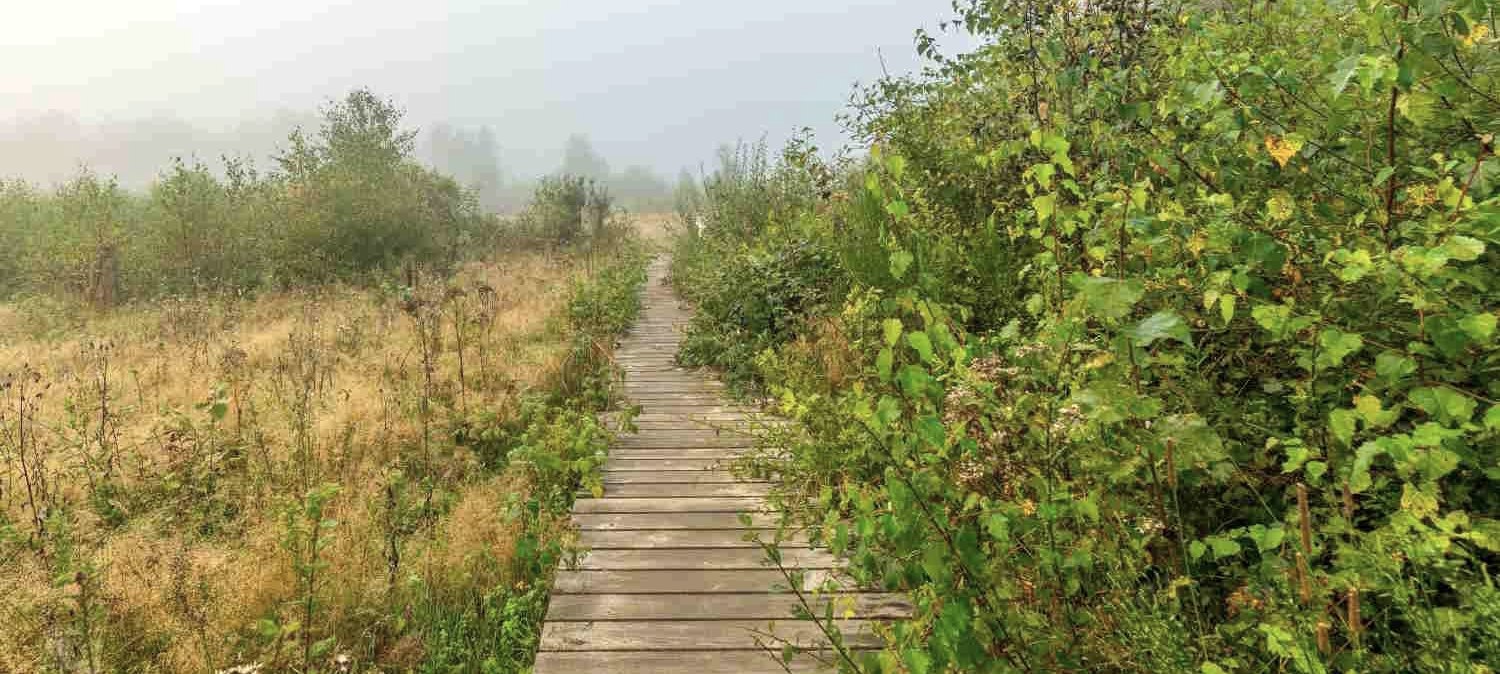 Sistig-Krekeler Heide, © Paul Meixner Sistig-Krekeler Heide, © Paul Meixner