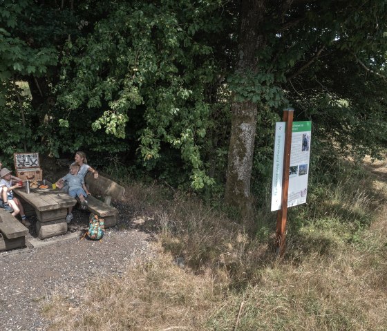 Flurheckenweg Eicherscheid, © Eifel Tourismus GmbH, Tobias Vollmer Flurheckenweg Eicherscheid, © Eifel Tourismus GmbH, Tobias Vollmer