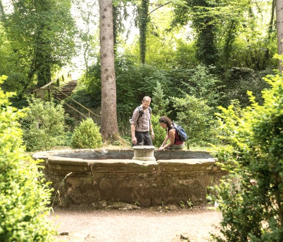 In the monastery garden, © Eifel Tourismus GmbH, D. Ketz In the monastery garden, © Eifel Tourismus GmbH, D. Ketz