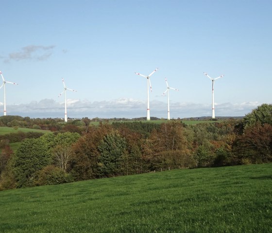 Windpark Scheuren, © Edgar Hoss & Nordeifel Tourismus GmbH Windpark Scheuren, © Edgar Hoss & Nordeifel Tourismus GmbH