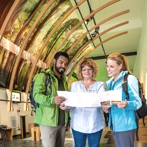 Informationen im Nationalpark-Tor Höfen, © Eifel-Tourismus GmbH, Dominik Ketz Informationen im Nationalpark-Tor Höfen, © Eifel-Tourismus GmbH, Dominik Ketz