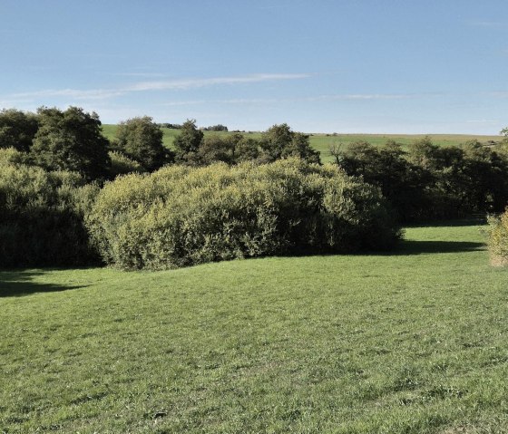Natur, © Eva Zumbé Natur, © Eva Zumbé