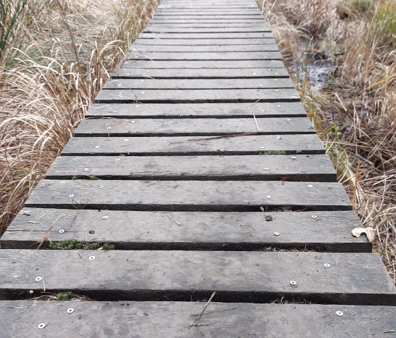 Venn-Stege (co) Theißen-Braun Venn-Stege (co) Theißen-Braun