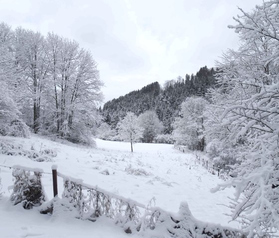 Eifelwinter1, © Nordeifel Tourismus GmbH & Ferienhaus eifel-mökki Eifelwinter1, © Nordeifel Tourismus GmbH & Ferienhaus eifel-mökki