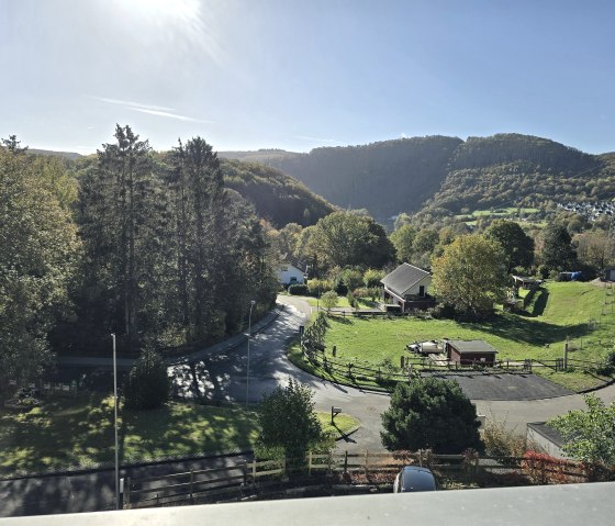 View View