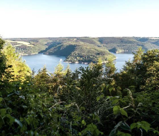 Eifelblick Hirschley am Wilden Kermeter, © Tourismus NRW e.V. Eifelblick Hirschley am Wilden Kermeter, © Tourismus NRW e.V.