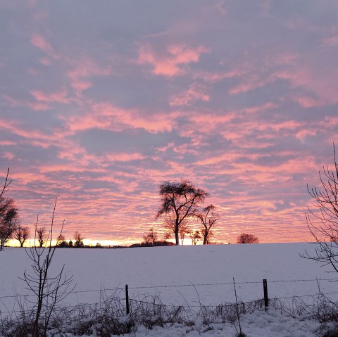 Abendglühen Schnee (co) Theißen-Braun Abendglühen Schnee (co) Theißen-Braun