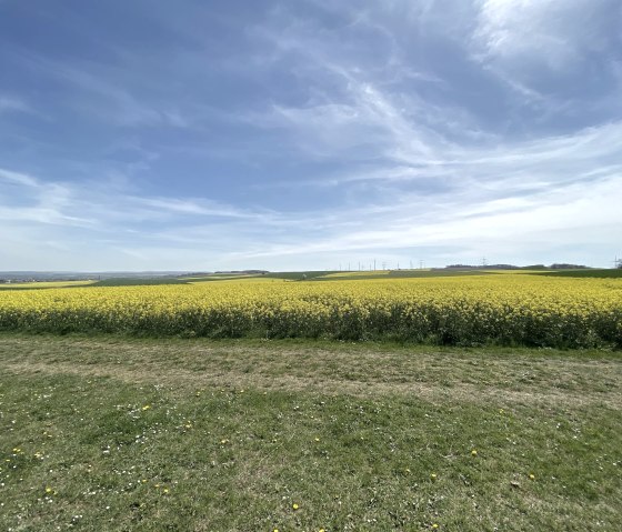 Wollersheim Bördelandschaft, © Rureifel-Tourismus e.V. Wollersheim Bördelandschaft, © Rureifel-Tourismus e.V.