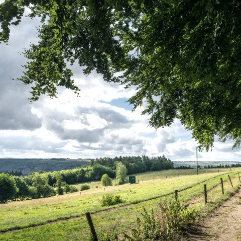 Hiking Rursee-Höhenweg, © Eifel Tourismus GmbH, Dominik Ketz Hiking Rursee-Höhenweg, © Eifel Tourismus GmbH, Dominik Ketz