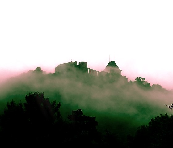 Blick auf die Burg Nideggen Blick auf die Burg Nideggen