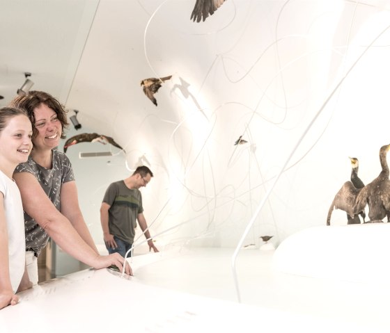 Interaktion in der Ausstellung "Wildnis(t)räume, © Nationalpark Eifel, D. Ketz Interaktion in der Ausstellung "Wildnis(t)räume, © Nationalpark Eifel, D. Ketz