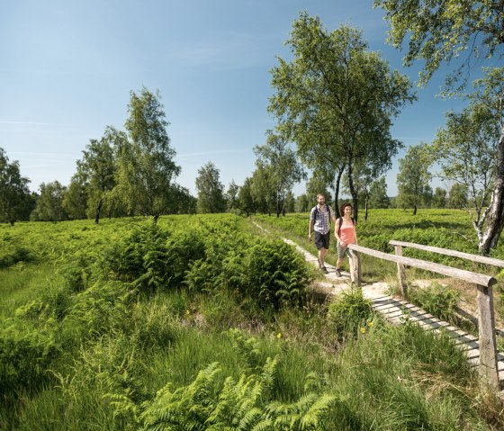 Wanderung durch die Struffelt Heide am Eifelsteig, © Eifel Tourismus/D. Ketz Wanderung durch die Struffelt Heide am Eifelsteig, © Eifel Tourismus/D. Ketz