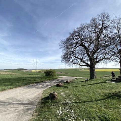 Blick vom Vlattener Bördeblick, © Rureifel-Tourismus e.V. Blick vom Vlattener Bördeblick, © Rureifel-Tourismus e.V.