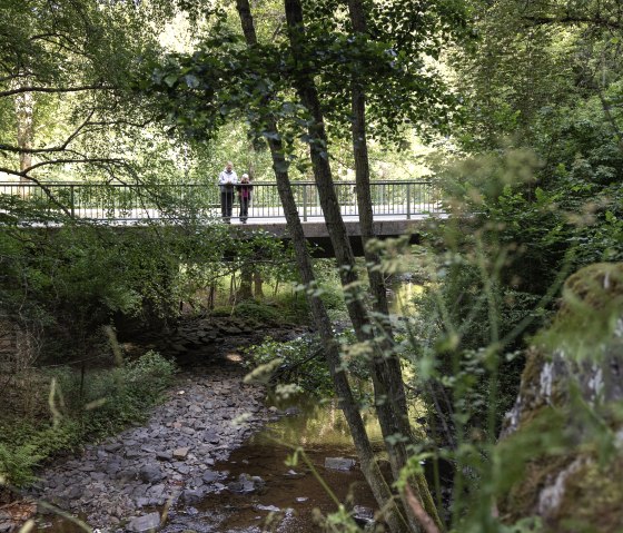 Brücke im Wald, © eifel-tourismus-gmbh_tobias-vollmer Brücke im Wald, © eifel-tourismus-gmbh_tobias-vollmer