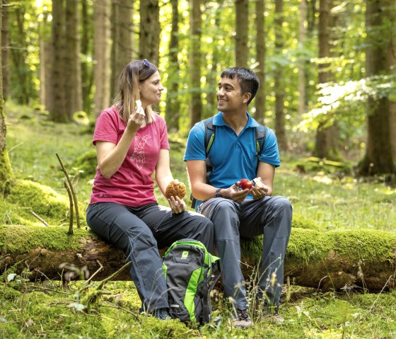 Idyllic hiking break in the Manscheider Bachtal valley, © Eifel Tourismus GmbH, Dominik Ketz Idyllic hiking break in the Manscheider Bachtal valley, © Eifel Tourismus GmbH, Dominik Ketz