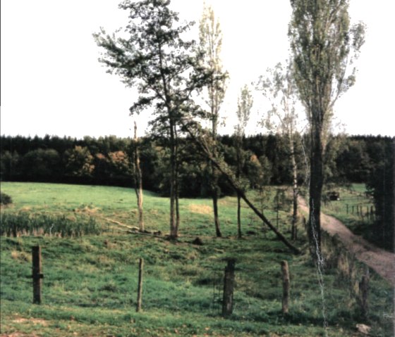 Ausblick, © Hubert Koll Ausblick, © Hubert Koll