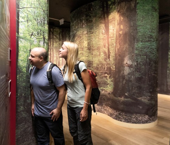 Ausstellung "Waldgeheimnisse" im NLP Tor, © Eifel Tourismus GmbH, AR, Shapefruit AG Ausstellung "Waldgeheimnisse" im NLP Tor, © Eifel Tourismus GmbH, AR, Shapefruit AG